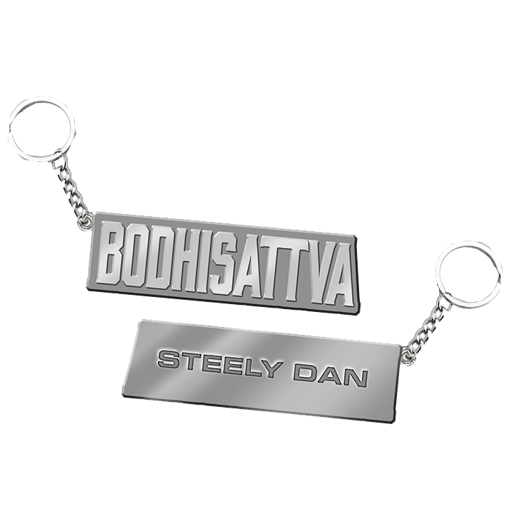 Accessories Steely Dan